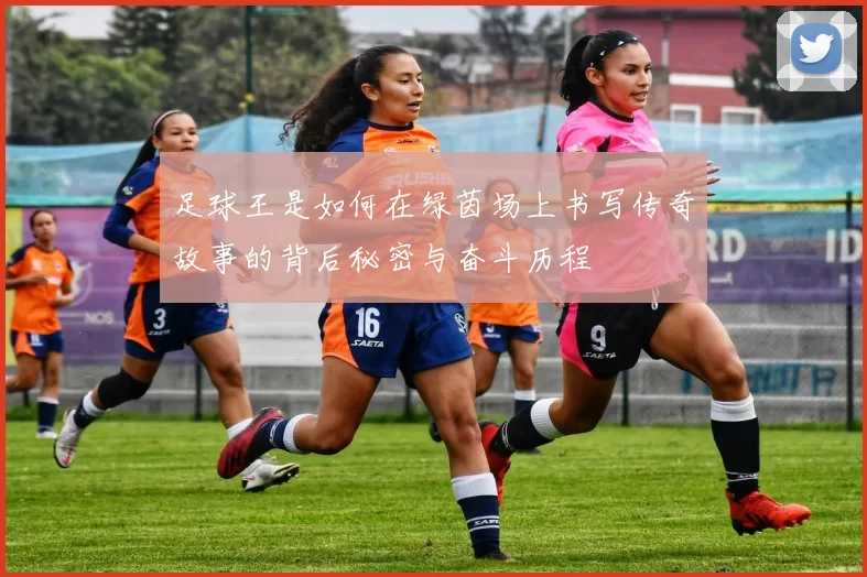 足球王是如何在绿茵场上书写传奇故事的背后秘密与奋斗历程