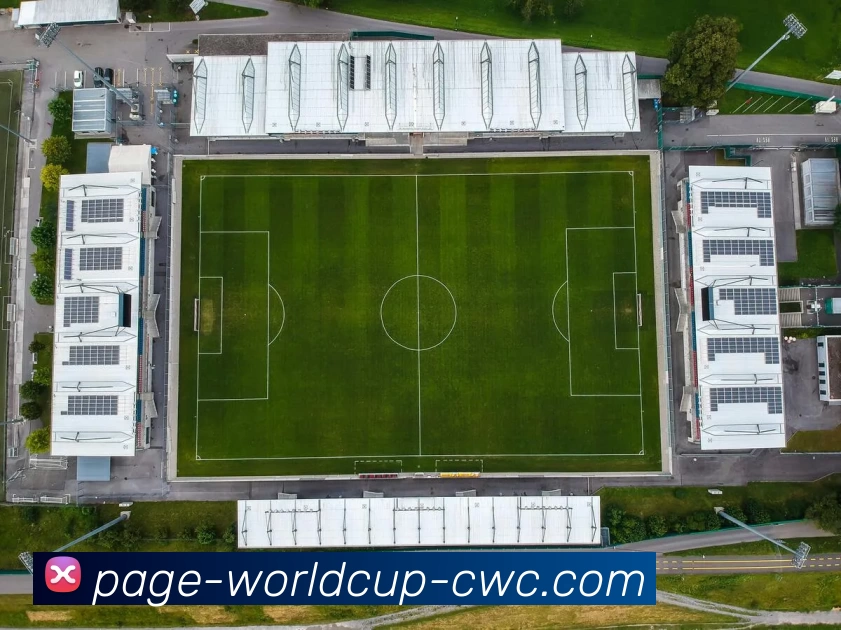 买球中国网站品牌故事